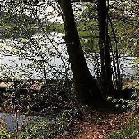 Ferien-apartment 1 By Interhome 布兰肯海姆