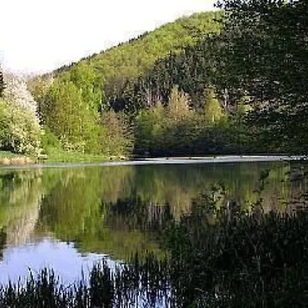 公寓 Ferien-apartment 1 By Interhome 布兰肯海姆