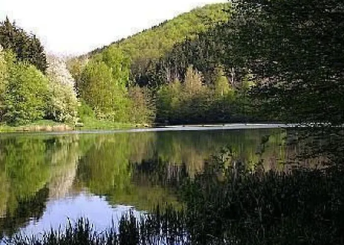 公寓 Ferien-apartment 1 By Interhome 布兰肯海姆